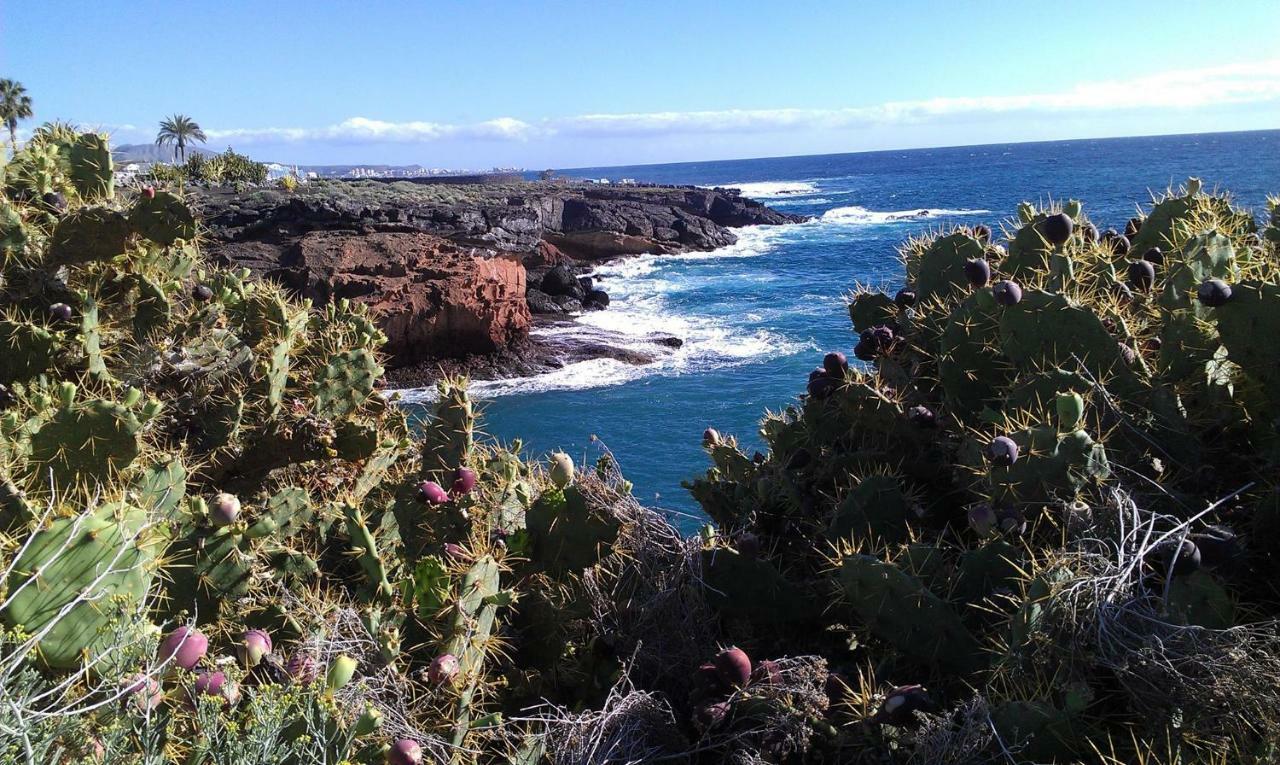 Ocean View Studio أذيخي المظهر الخارجي الصورة